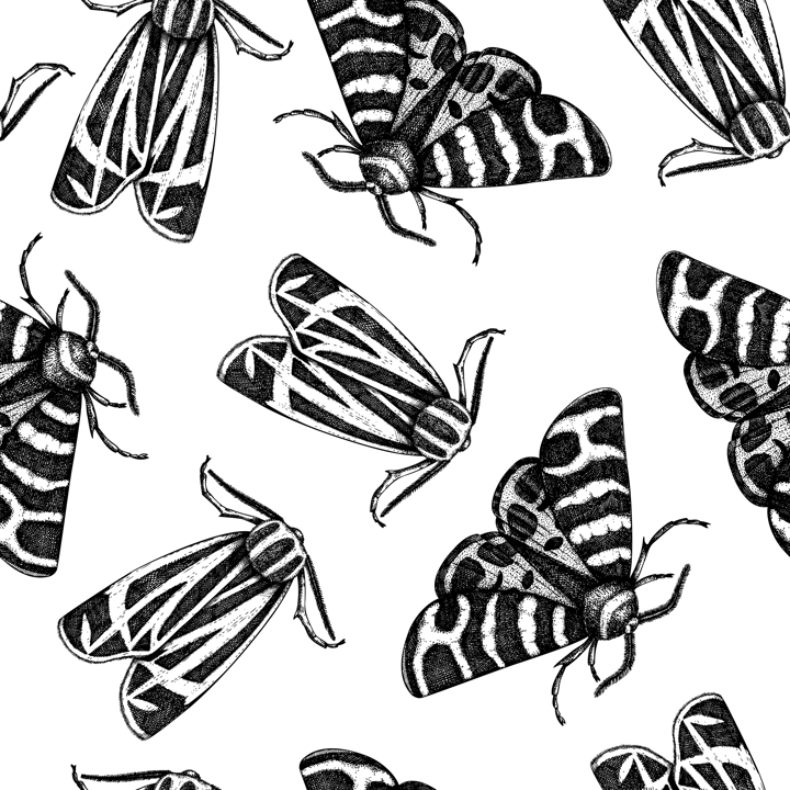 Tiger moth seamless pattern. Hand-drawn vector illustration. Butterfly sketch. Insect vintage background.